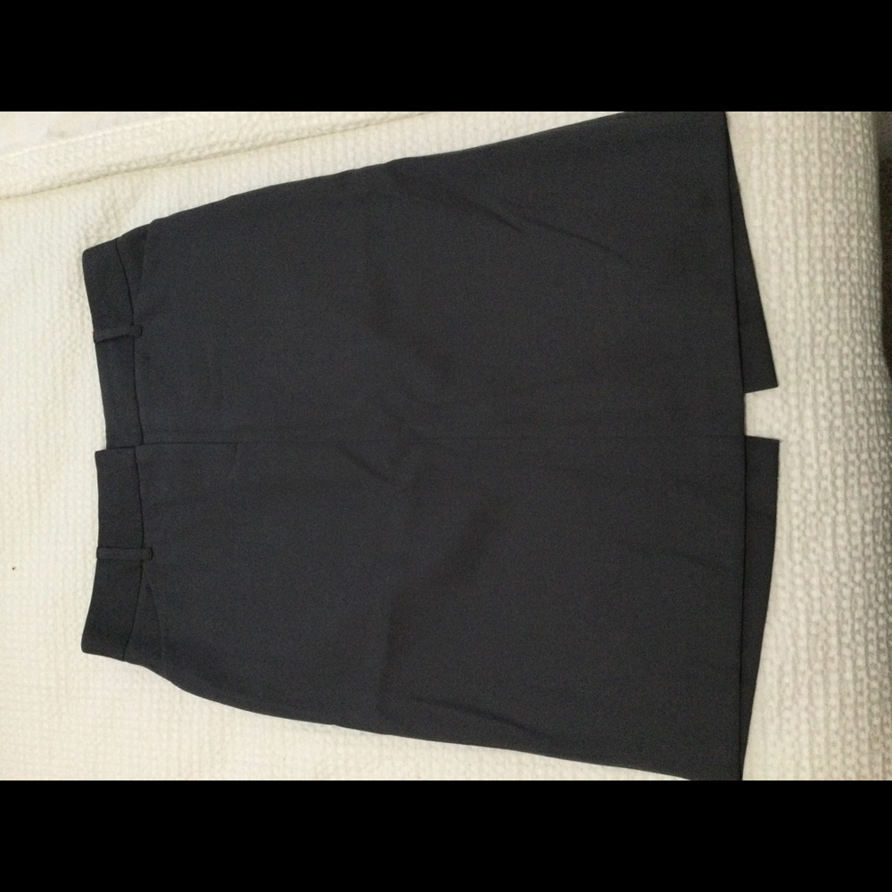 J. Crew Skirt 4